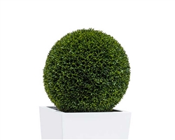 Green Topiary Balls 20"