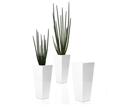 Beau Modern Vase with Snake Grass - WHITE 4 Feet