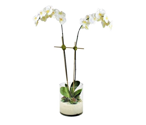 Rota cylinder with white Phalaenopsis orchids, succulents and white pebbles