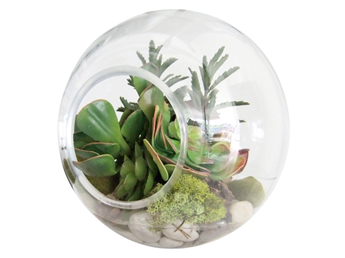 assorted terrariums at mh2g