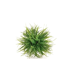 Grass Ball 4" Diameter