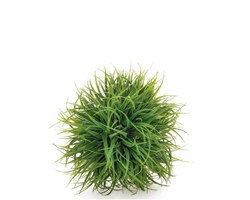 Grass Ball 5" Diameter