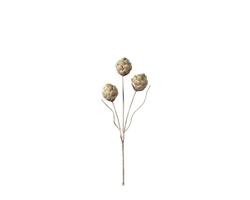 Desert 3 Pod Artichoke Stem-