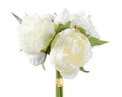 Blushing Peony 5 Bloom Bouquet - Creme