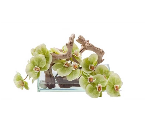 24" Green Orchids Modern Floral Arrangement