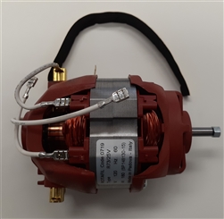 Lindhaus Brush Motor