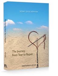 THE JOURNEY FROM TEAR TO REPAIR PAPERBACK