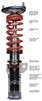 SKUNK2 PRO-C FULL COILOVER KIT: S2000 00-09