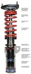 SKUNK2 PRO-C FULL COILOVER KIT: S2000 00-09