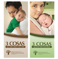 Mom and Dad Brochure Bundle - SPANISH