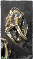 MW Brass Saber Skull