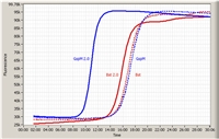 8,000u GspM DNA polymerase  8u/ul