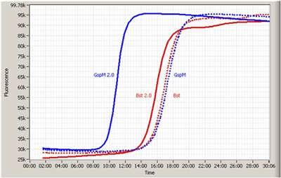 8,000u GspM DNA polymerase  8u/ul