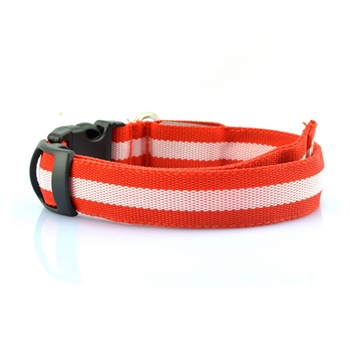 led collar red