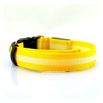 led collar yellow