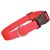 nylon collar red