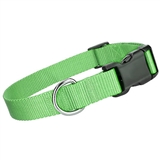 nylon collar green