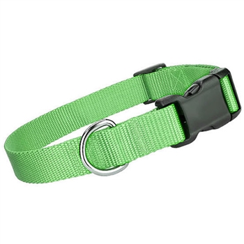 nylon collar green