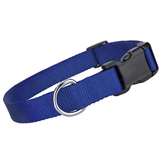 nylon collar blue