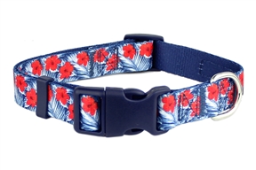 Hibiscus Blue Collar