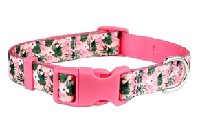 Tropical Toucans Collar