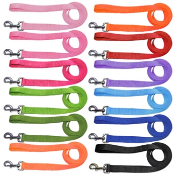 nylon pet leash 4ft