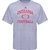 ADIDAS Grey INDIANA FOOTBALL Practice T-Shirt