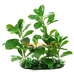 Aquarium Ornament Plastic Plants  5230