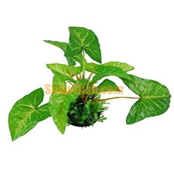 Aquarium Ornament Plastic Plants 4015