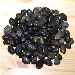 30 lbs Black Polished River Pebble Stone 0.5"-0.8"