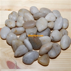 30 lbs White Polished River Pebble Stone 1.0"-1.5"
