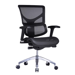 BodyFit Ergonomic Office Chair