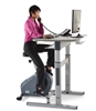 LifeSpan CS-DT7 Upright Exercise Bike & Desk