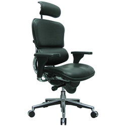 Ergohuman Office Chair