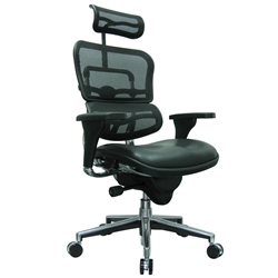 Ergohuman Office Chair