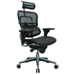 Ergohuman Office Chair