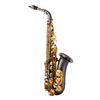 John Packer Alto Saxophone - black