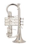 John Packer Eb Cornet - silver