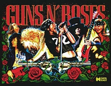 ColorDMD for a Guns N Roses