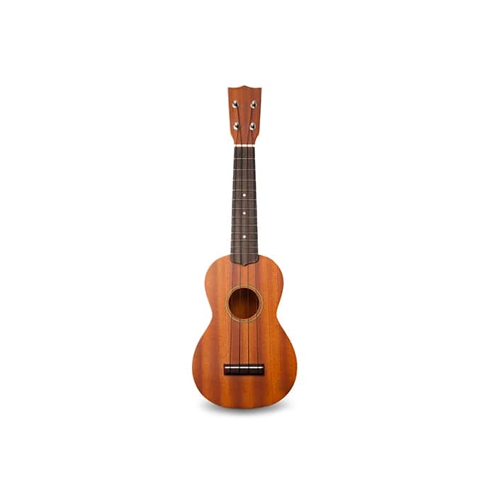 Kids Beginner Ukulele