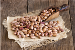 PINTO BEANS 1LB