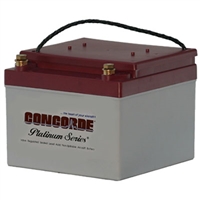 Concorde RG24-15 24V Aircraft Battery