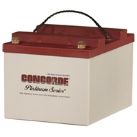 Concorde RG24-20 24V Aircraft Battery