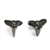 Fossil Shark Teeth Cufflinks