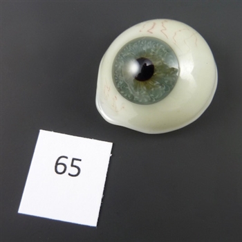 Antique Glass Eye #65