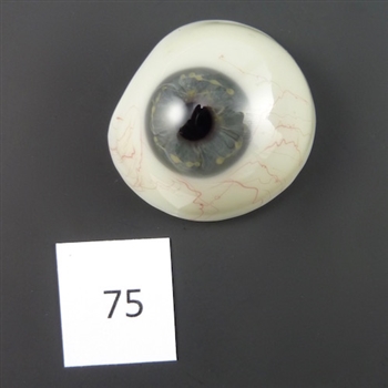 Antique Glass Eye #75