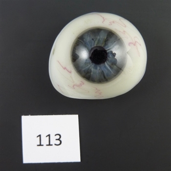 Antique Glass Eye #113