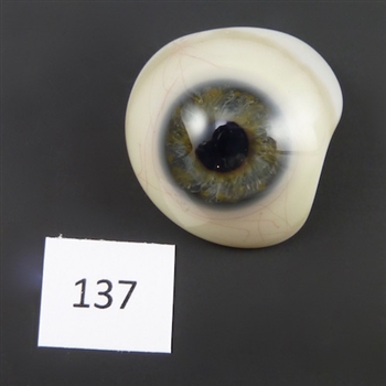 Antique Glass Eye #137