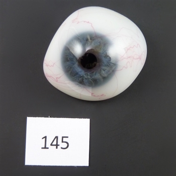 Antique Glass Eye #145