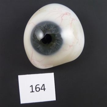 Antique Glass Eye #164